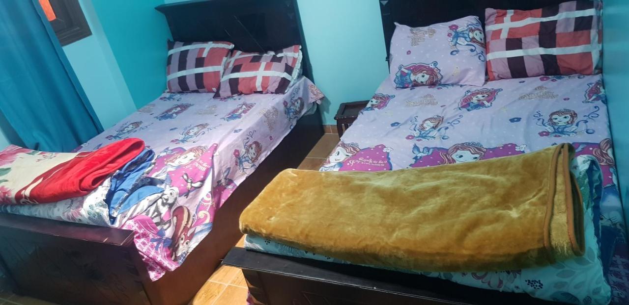 Mody Appartment At アレクサンドリア エクステリア 写真
